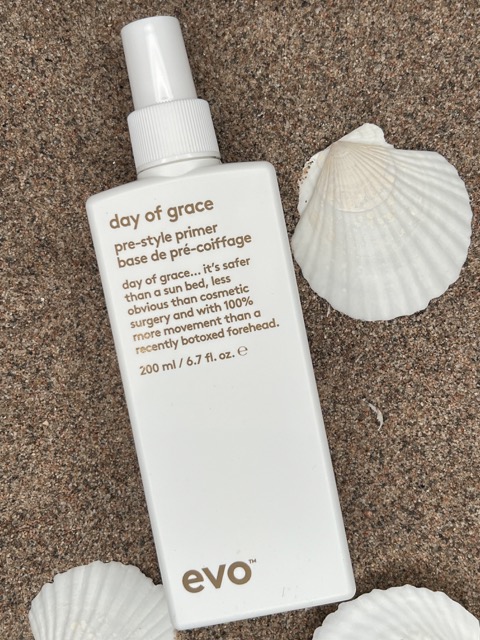 Evo Day Of Grace Pre-Style Primer varmebeskyttende stylingprimer – Nalu Nalu Frisør