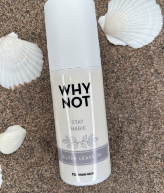 WHY NOT Stay Magic Silver Leave In